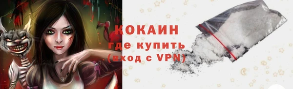 дживик Беломорск