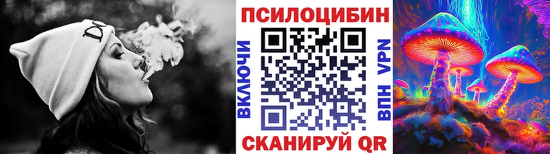Галлюциногенные грибы MAGIC MUSHROOMS  Шенкурск 