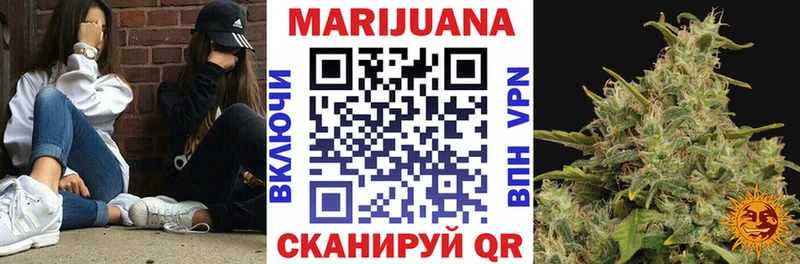 купить  сайты  Шенкурск  Конопля VHQ 